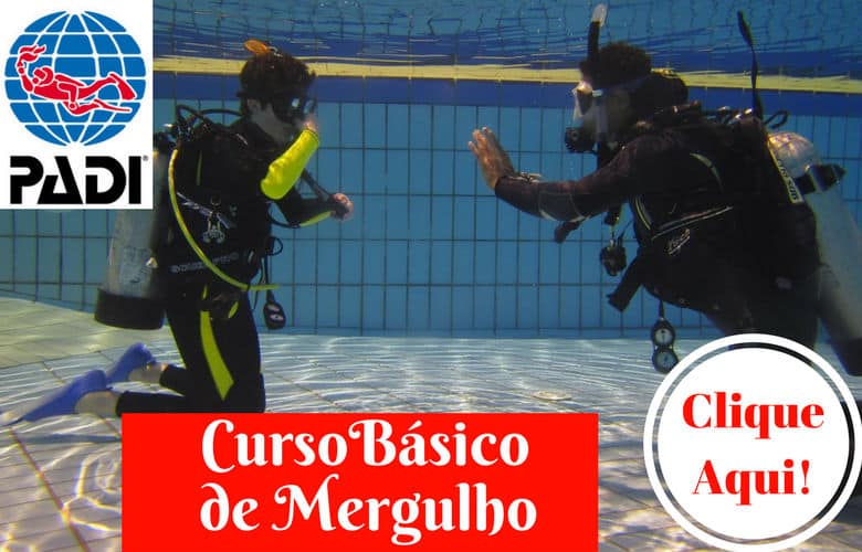 banner curso de mergulho basico PADI Clique Aqui