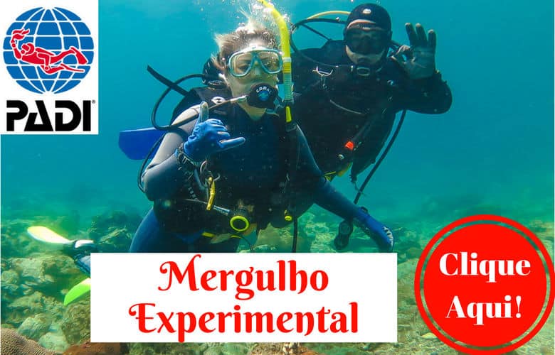 banner mergulho experimental PADI Clique Aqui