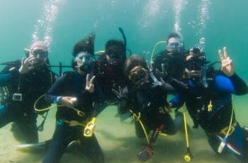 banner coral diving mergulho 350p (1)