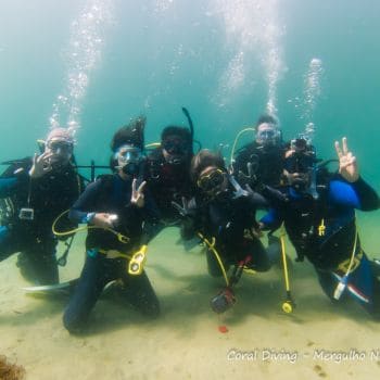 banner coral diving mergulho 350p (1)
