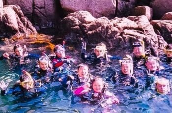 banner coral diving mergulho 350p (2)