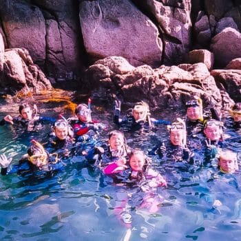 banner coral diving mergulho 350p (2)