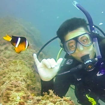 banner mergulhadores 350p 2 (3)