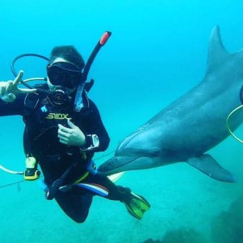 banner mergulhadores 350p 2 (4)