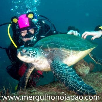 banner mergulhadores 350p 2 (5)