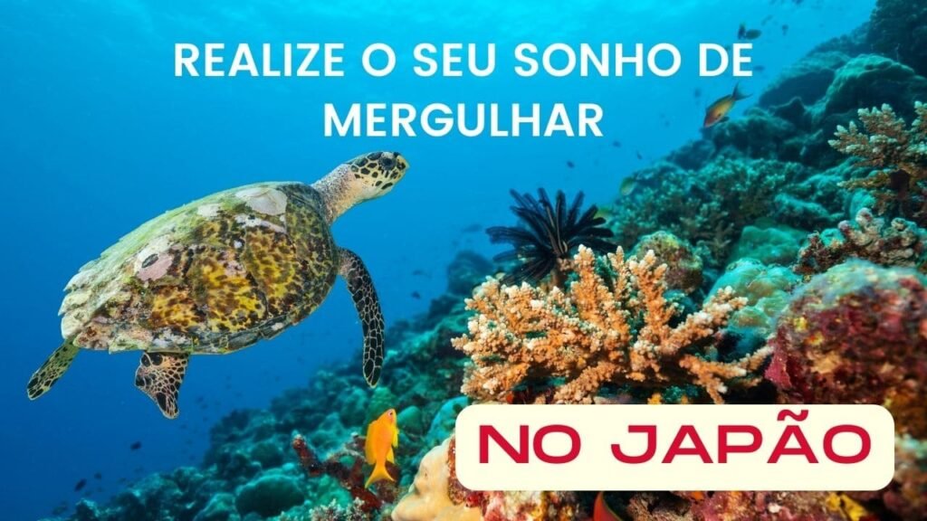 miniatura do youtube 1280x720px 3 1