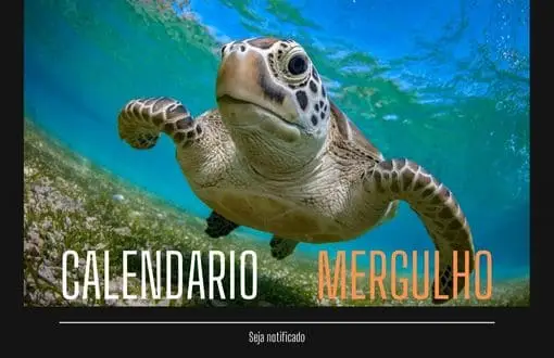 banner Calendario